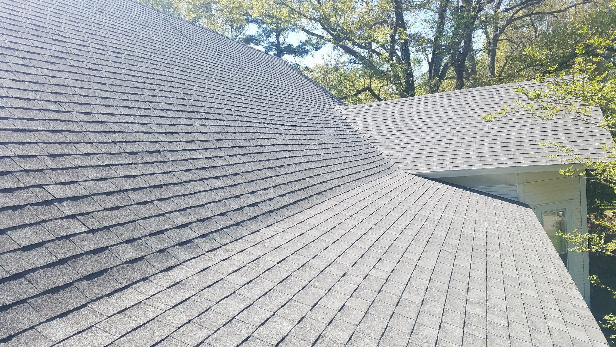 shingle roof