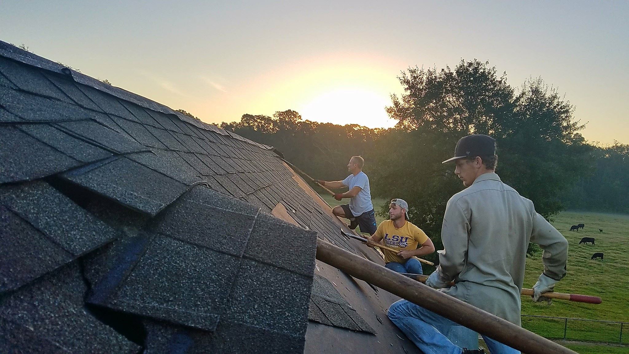 roof replacement